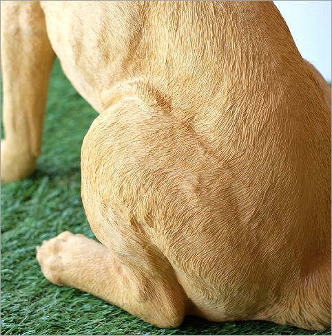 ラブラドール　置物　オブジェ　犬　いぬ　玄関　エントランス　オーナメント　ドッグ ラブラドール 置物 オブジェ 犬 いぬ 玄関 エントランス